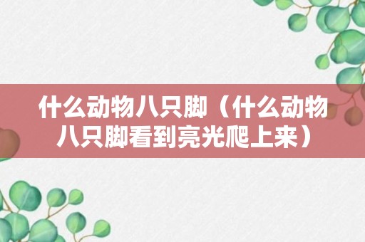 什么动物八只脚（什么动物八只脚看到亮光爬上来）