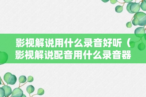 影视解说用什么录音好听（影视解说配音用什么录音器）