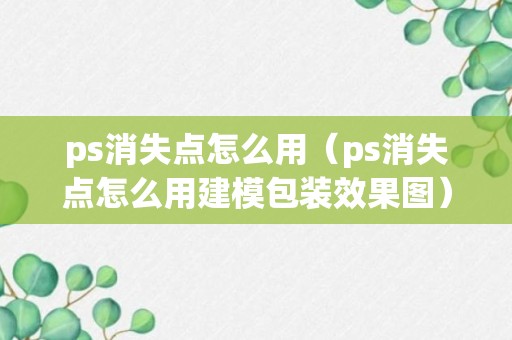 ps消失点怎么用（ps消失点怎么用建模包装效果图）