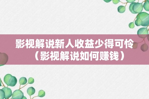 影视解说新人收益少得可怜（影视解说如何赚钱）