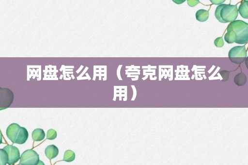 网盘怎么用（夸克网盘怎么用）