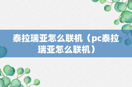 泰拉瑞亚怎么联机（pc泰拉瑞亚怎么联机）