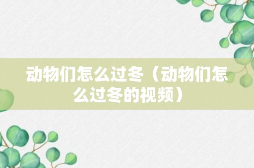 动物们怎么过冬（动物们怎么过冬的视频）