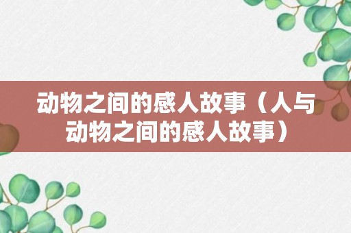 动物之间的感人故事（人与动物之间的感人故事）