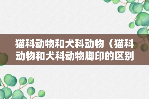 猫科动物和犬科动物（猫科动物和犬科动物脚印的区别）