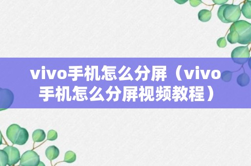 vivo手机怎么分屏（vivo手机怎么分屏视频教程）