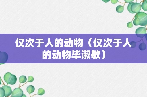 仅次于人的动物（仅次于人的动物毕淑敏）