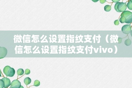 微信怎么设置指纹支付（微信怎么设置指纹支付vivo）