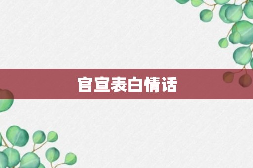 官宣表白情话