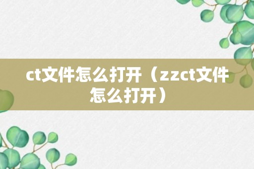 ct文件怎么打开（zzct文件怎么打开）