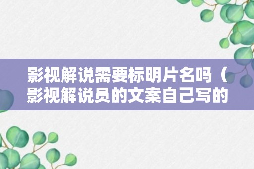 影视解说需要标明片名吗（影视解说员的文案自己写的吗）