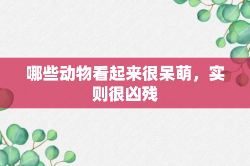 哪些动物看起来很呆萌，实则很凶残