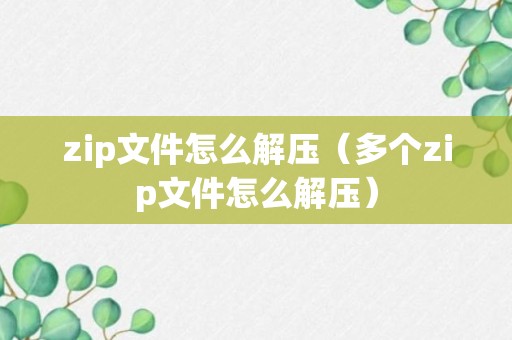 zip文件怎么解压（多个zip文件怎么解压）