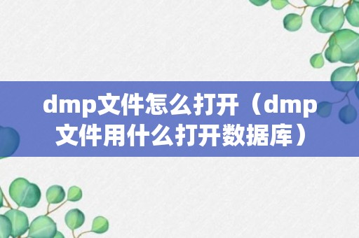 dmp文件怎么打开（dmp文件用什么打开数据库）