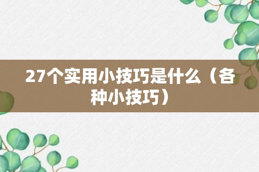 27个实用小技巧是什么（各种小技巧）