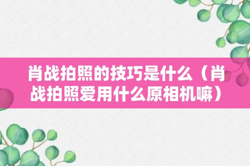 肖战拍照的技巧是什么（肖战拍照爱用什么原相机嘛）