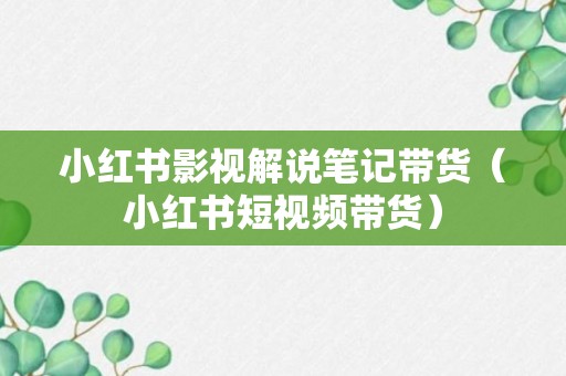 小红书影视解说笔记带货（小红书短视频带货）