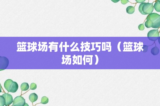 篮球场有什么技巧吗（篮球场如何）