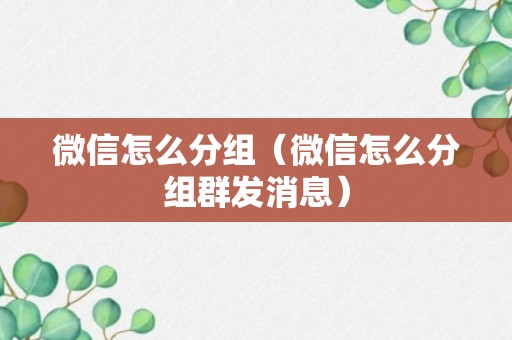 微信怎么分组（微信怎么分组群发消息）