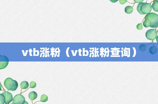 vtb涨粉（vtb涨粉查询）