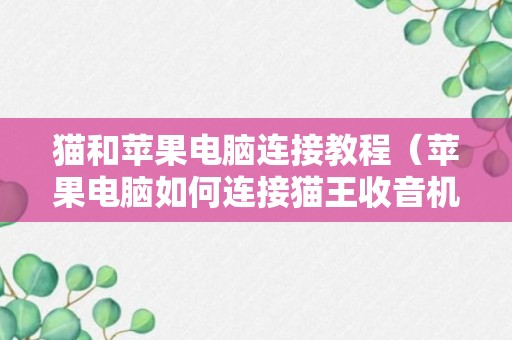 猫和苹果电脑连接教程（苹果电脑如何连接猫王收音机）