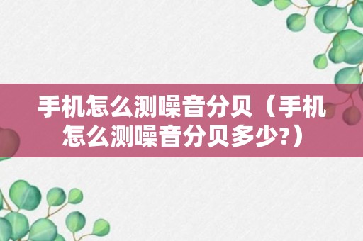 手机怎么测噪音分贝（手机怎么测噪音分贝多少?）