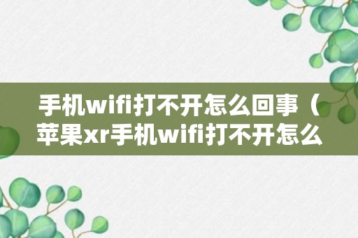 手机wifi打不开怎么回事（苹果xr手机wifi打不开怎么回事）