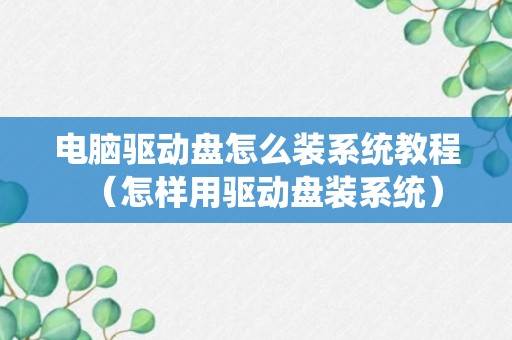 电脑驱动盘怎么装系统教程（怎样用驱动盘装系统）