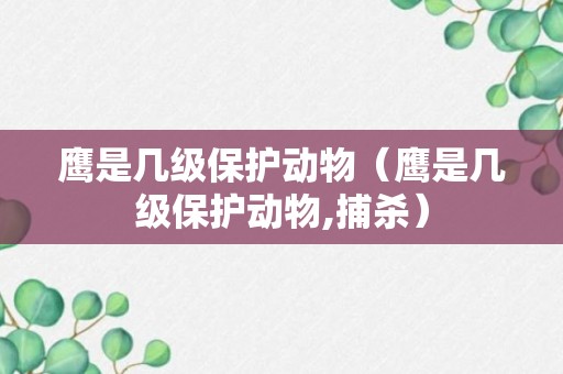 鹰是几级保护动物（鹰是几级保护动物,捕杀）