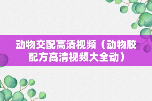 动物交配高清视频（动物胶配方高清视频大全动）