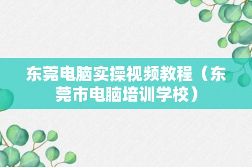 东莞电脑实操视频教程（东莞市电脑培训学校）