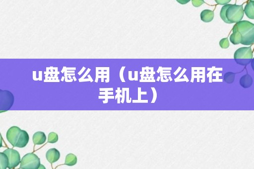 u盘怎么用（u盘怎么用在手机上）