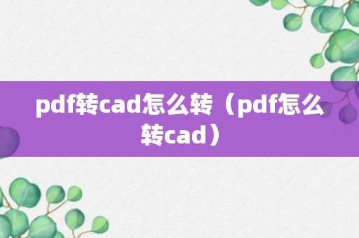 pdf转cad怎么转（pdf怎么转cad）