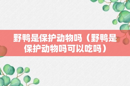 野鸭是保护动物吗（野鸭是保护动物吗可以吃吗）