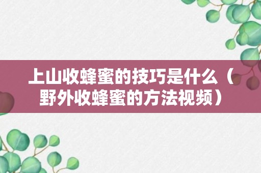 上山收蜂蜜的技巧是什么（野外收蜂蜜的方法视频）