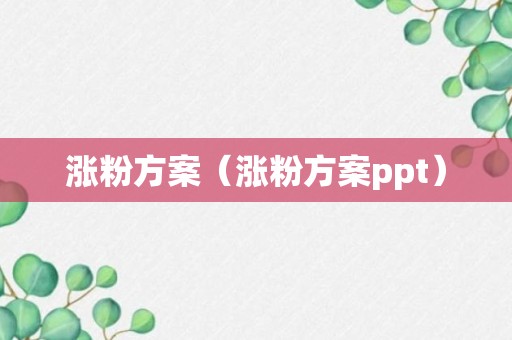 涨粉方案（涨粉方案ppt）