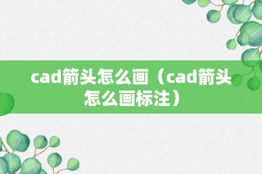 cad箭头怎么画（cad箭头怎么画标注）