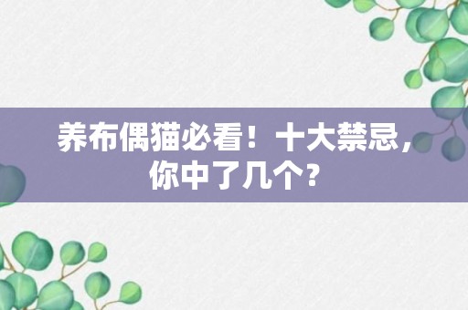 养布偶猫必看！十大禁忌，你中了几个？