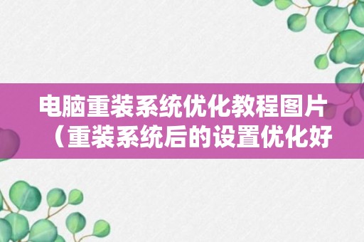 电脑重装系统优化教程图片（重装系统后的设置优化好久）