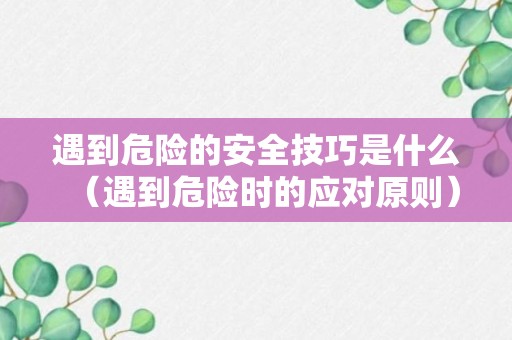 遇到危险的安全技巧是什么（遇到危险时的应对原则）