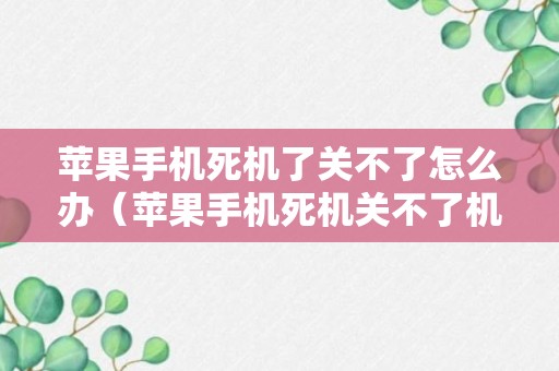 苹果手机死机了关不了怎么办（苹果手机死机关不了机）