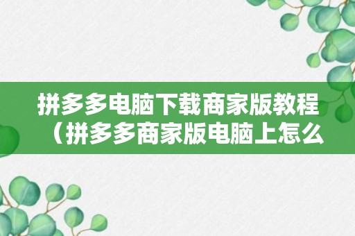 拼多多电脑下载商家版教程（拼多多商家版电脑上怎么下载软件）