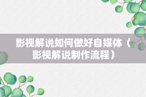 影视解说如何做好自媒体（影视解说制作流程）