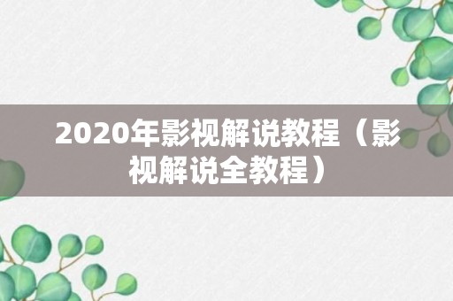 2020年影视解说教程（影视解说全教程）