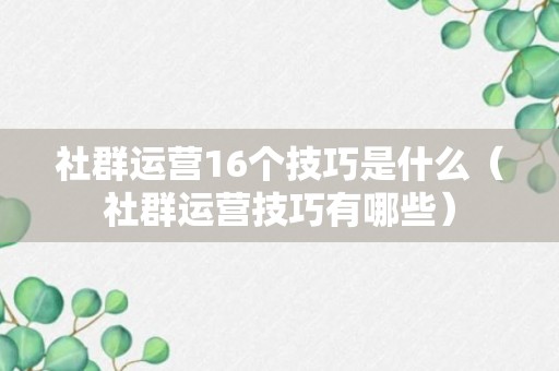 社群运营16个技巧是什么（社群运营技巧有哪些）