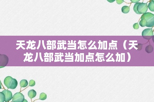 天龙八部武当怎么加点（天龙八部武当加点怎么加）