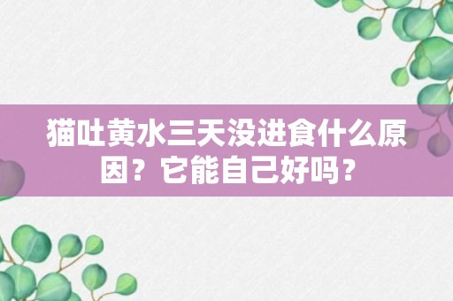 猫吐黄水三天没进食什么原因？它能自己好吗？