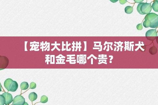 【宠物大比拼】马尔济斯犬和金毛哪个贵？