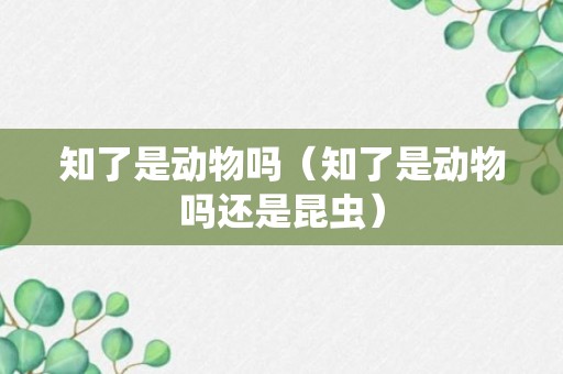 知了是动物吗（知了是动物吗还是昆虫）