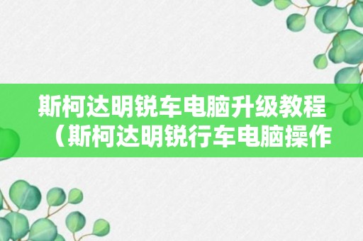 斯柯达明锐车电脑升级教程（斯柯达明锐行车电脑操作说明）